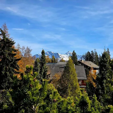 Apartamento Avec Terrasse Et Piscine - Aux Petits Sapins *